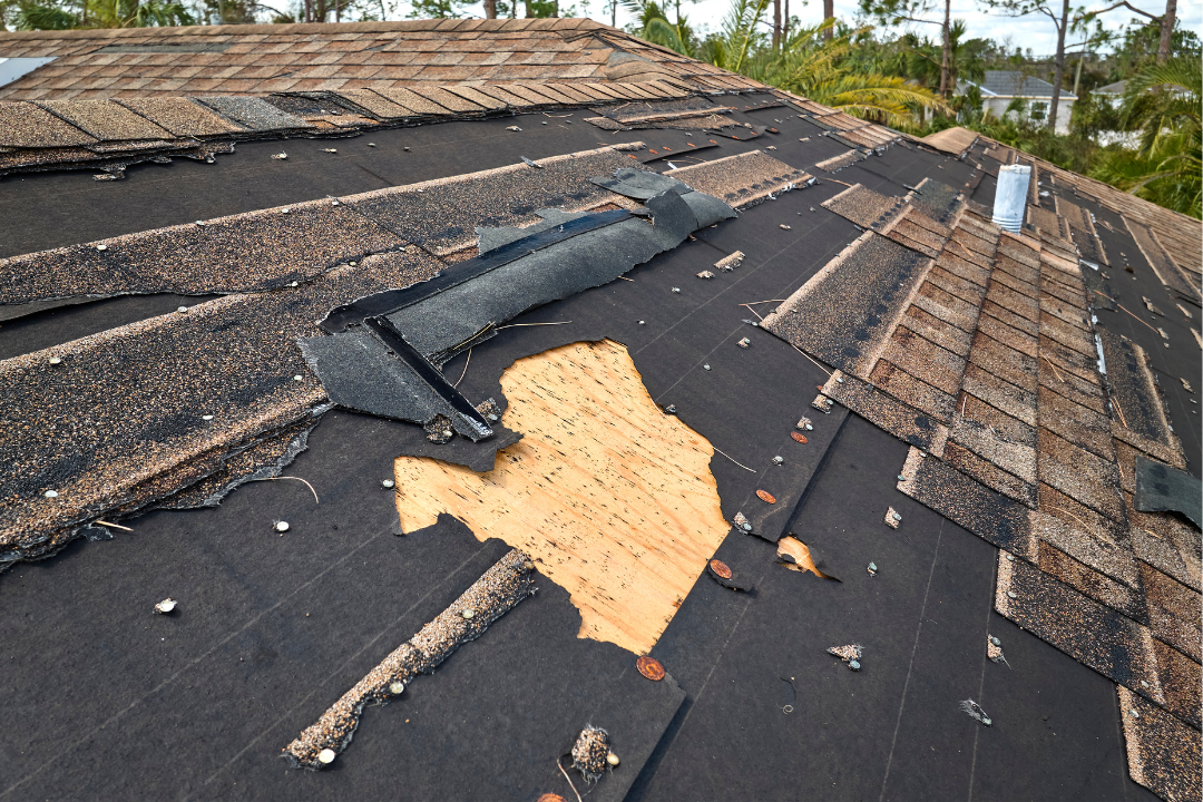7 Hidden Signs Your Roof Needs Immediate Attention